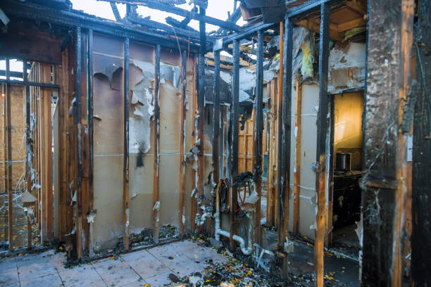 Professional Smoke Damage Removal technician working in Bellwood, VA